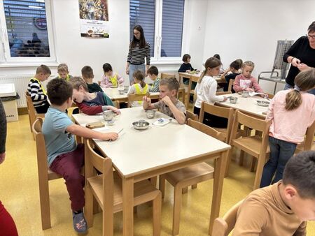 OŠ Podgrad (1)